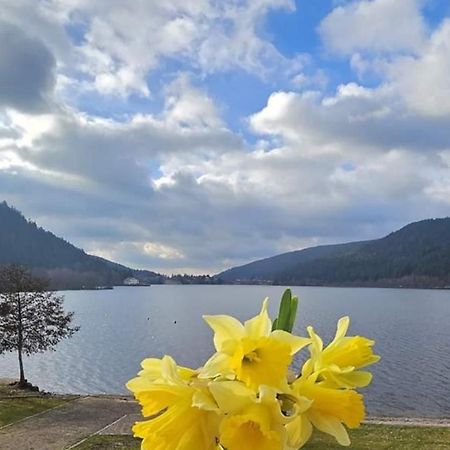 Les Yeux Du Lac Gérardmer Exterior foto